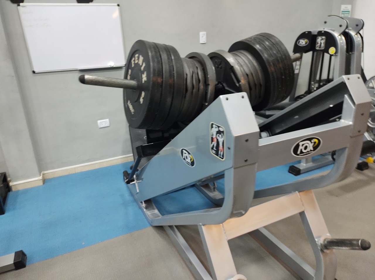 Zona de entrenamiento de alto rendimiento en ANIMA F&H Edison con iluminación deportiva y barras olímpicas